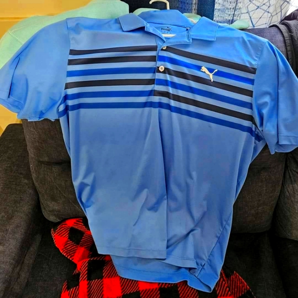 Puma poli
